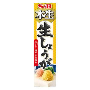 【アウトレット】本生生しょうが 40g 1本 エスビー食品生姜　ショウガ