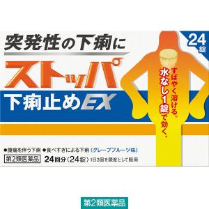 ストッパ下痢止めEX 24錠 ライオン　水なしで飲める　突発性の下痢に【第2類医薬品】｜LOHACO by アスクル