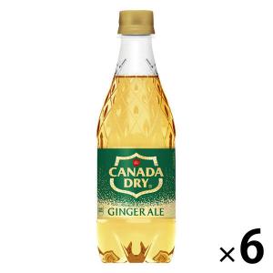 カナダドライ 送料無料 (地域限定) ジンジャーエール 500ml PET × 24本