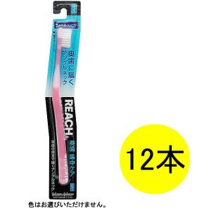 REACH（リーチ） 奥歯集中ケア ハブラシ ちょっとコンパクト ふつう 1