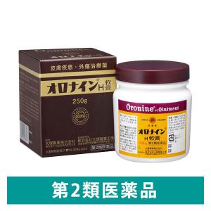 オロナインH軟膏 250g 大塚製薬　ひび あかぎれ きりきず すり傷 軽いやけど【第2類医薬品】｜LOHACO by アスクル