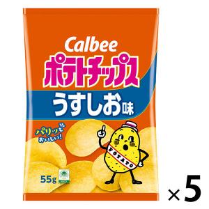 BIG BAG ポテトチップス うすしお味 160g入 1袋 【バラ売り