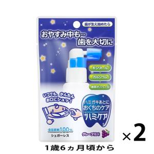 ハミケア グレープ風味 25g 1セット（2個） 丹平製薬