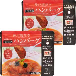 開花亭 煮込みハンバーグ トマトソース 190g 1セット（2個） レンジ対応