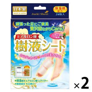 【アウトレット】ヒアルロン酸 樹液シート 1セット（ 48枚：24枚入×2）鈴木油脂