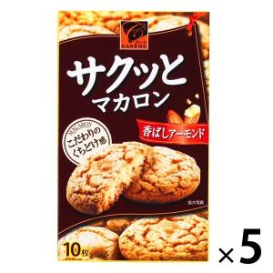【アウトレット】カバヤ食品　サクッとマカロン　1セット（10枚入×5箱）　クッキー　ビスケット