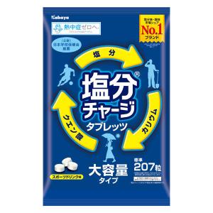 熱中症対策】塩分チャージタブレッツ スポーツドリンク味 BIG ＜N26