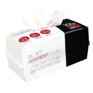 ノンペーパータオル 厚手タイプ100枚 使い捨て 医食同源ドットコム ハンドタオル