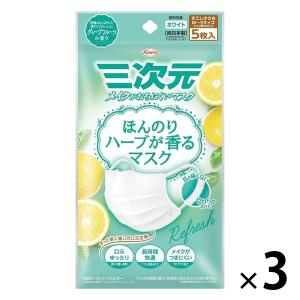 三次元マスク ほんのりハーブが香るマスク グレープフルーツの香り 1セット（5枚入×3袋） 興和