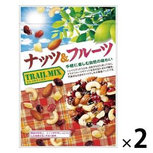 【アウトレット】共立食品 ナッツ＆フルーツ（トレイルミックス）徳用 140g 1セット（2袋）