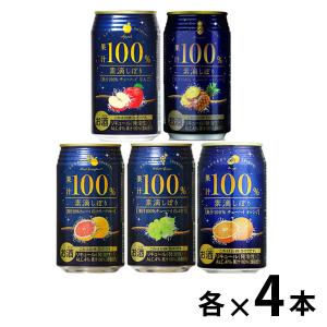 【セット】チューハイ　飲み比べ  素滴搾り　果汁100%　5種アソート　350ml　1箱(20本)　