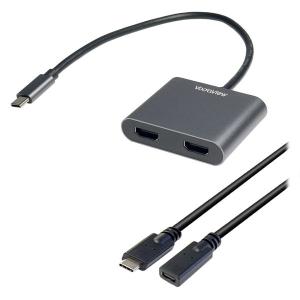 NTT NTT VG230i 「ひかり電話」対応 ISDN変換アダプター 2ch用 NTT