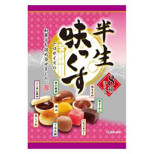 和菓子 個包装 お配り菓子 半生味っくす 1個