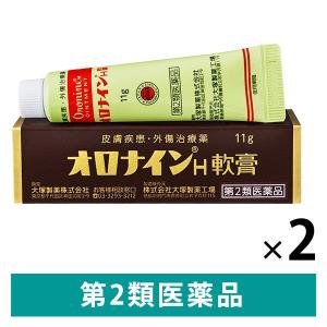 オロナイン H軟膏 11g 2箱セット 大塚製薬　ひび あかぎれ きりきず すり傷 軽いやけど【第2類医薬品】｜LOHACO by アスクル