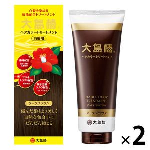 大島椿 ヘアカラートリートメント ダークブラウン ( 180g*2コセット