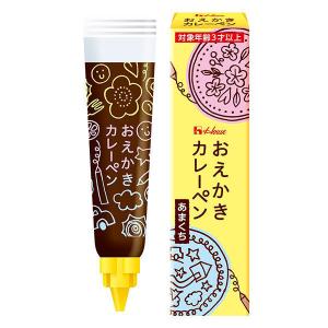 【ワゴンセール】ハウス食品 おえかきカレーペン 甘口 40g 1個