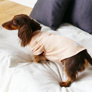 【ロハコ限定】 犬用 猫用 服 オーガニックコットン100% 染料/アプリコット ダックスM パジャマ Tシャツ おしゃれ ペット用の商品画像