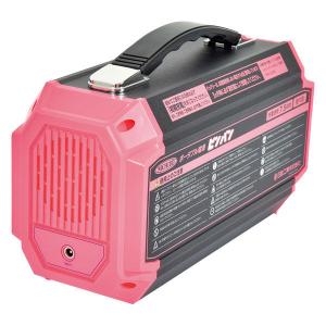日動工業 LPE-R250L2 ポータブル電源ピンバン NICHIDO : Y-SQUARE