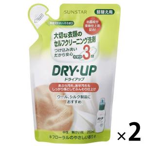 DRY・UP（ドライアップ） 詰め替え 250ml 1セット（2個入） 衣料用洗剤 サンスター｜LOHACO by ASKUL