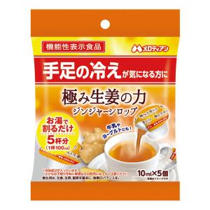 メロディアン 極み生姜の力 ジンジャーシロップ 1袋（5個入）