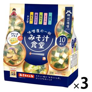 神州一味噌 フリーズドライ みそ汁食堂 味噌屋の一杯 とん汁 10