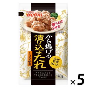 【アウトレット】から揚げの漬け込みたれ しょうゆ味 鶏もも肉2枚分 40g 1セット（5個） 日清製粉ウェルナ　料理の素