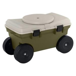 サボテンの骨 3個セット カクタススケルトン カクタスボーン サイズ約