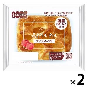 KOUBO アップルパイ 国産小麦・りんご使用 1セット（2個入） パネックス ロングライフパン｜LOHACO by ASKUL