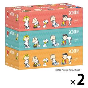 スコッティ（scottie） (数量限定品)ボックスティッシュ 箱ティッシュ