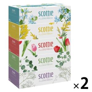 （セール）ティッシュペーパー スコッティ ティシュー 250組（5箱入）フラワーボックス 1セット（2パック）（イチオシ）｜LOHACO by アスクル