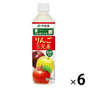 Minute Maid コカ・コーラ ミニッツメイド アップル 100% 1L紙パック×6
