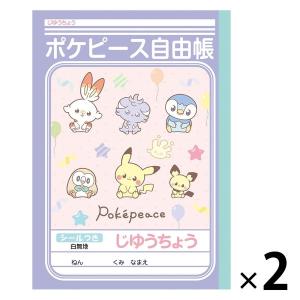 ショウワノート ポケットモンスター 学習帳 自由帳 B5 24472008 PL-72