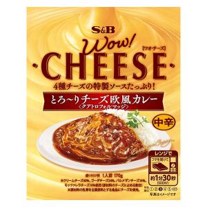 エスビー食品 とろ〜りチーズ欧風カレー 中辛 1個 レンジ対応 レトルト WOW！CHEESE（ワオ・チーズ）