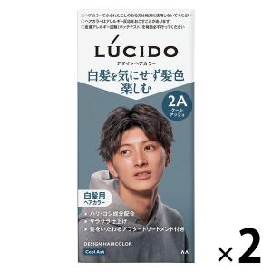 LUCIDO(ルシード) デザインヘアカラー クールアッシュ 白髪染め メンズ