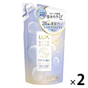アウスレーゼ 資生堂 アウスレーゼ ボリュームセット ムースN 400g