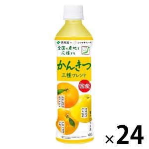 伊藤園 国産 かんきつ三種ブレンド 400g ニッポンエール 1箱（24本入）｜LOHACO by ASKUL