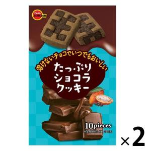 たっぷりショコラクッキー 2個 ブルボン