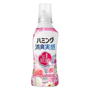 ハミング 消臭実感 金木犀の香り きんもくせい 柔軟剤 詰め替え 1000ml
