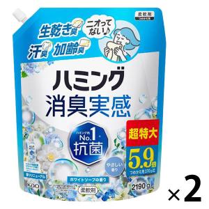 ハミング 消臭実感 金木犀の香り きんもくせい 柔軟剤 詰め替え 1000ml