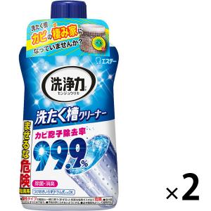 洗浄力（センジョウリキ） 洗たく槽クリーナー 1セット（2個） エステー