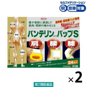 バンテリンコーワパップS 24枚 2箱セット 興和★控除★ 貼り薬 インドメタシン パップ剤 肩・腰・膝の痛み【第2類医薬品】｜LOHACO by ASKUL