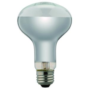 RF110V90WH 岩崎電気 EYE アイランプ RF110V90WH 屋外投光用レフランプ