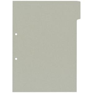 アスクル カラーインデックス単色 タテ インデックスシート 2穴 1山目 グレー 10枚 最安値 価格比較 Yahoo ショッピング 口コミ 評判からも探せる