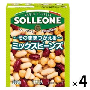 ソル・レオーネ ミックスビーンズ 1セット（4個）の商品画像