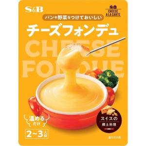 【アウトレット】エスビー食品 S＆B チーズアラカルト チーズフォンデュ 250g 1個