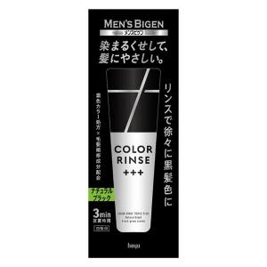テンスター ヘナ カラートリートメント ソフトブラック TH3-54 ( 250g