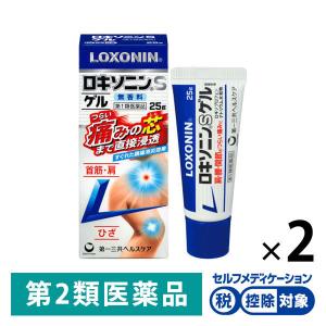 ロキソニンSゲル 25g 2箱セット 第一三共ヘルスケア ★控除★ ロキソプロフェン 塗り薬 筋肉痛 関節痛 腱鞘炎 テニス肘【第2類医薬品】｜LOHACO by ASKUL