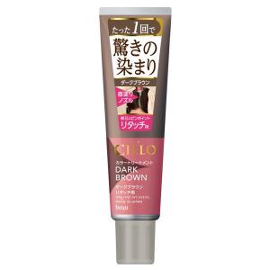 シエロ カラートリートメント リタッチ用 ナチュラルブラウン 140g