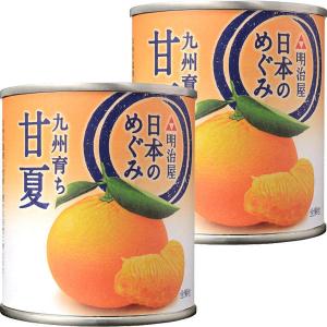明治屋 日本のめぐみ 九州育ち 甘夏 1セット（2個）の商品画像