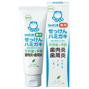 歯磨き粉 シャボン玉薬用せっけんハミガキ 80g シャボン玉石けん